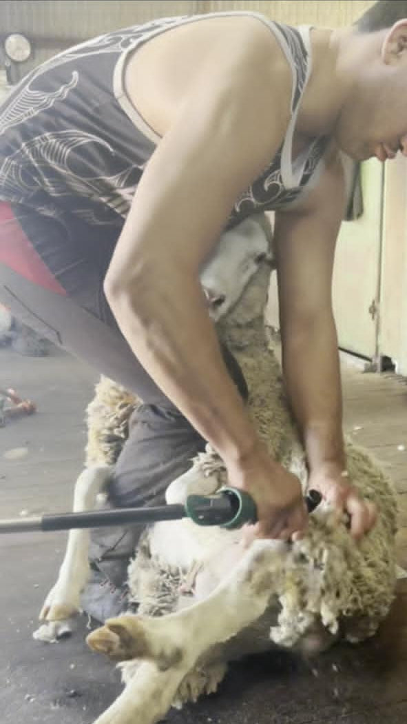 Skumbusters Maximum Performance Shearing Course - Complete Fitness & Nutrition Program