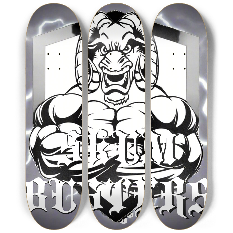 Skateboard Series