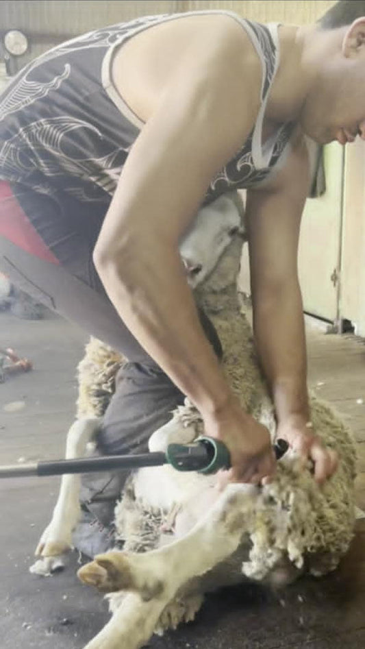 Skumbusters Maximum Performance Shearing Course - Complete Fitness & Nutrition Program