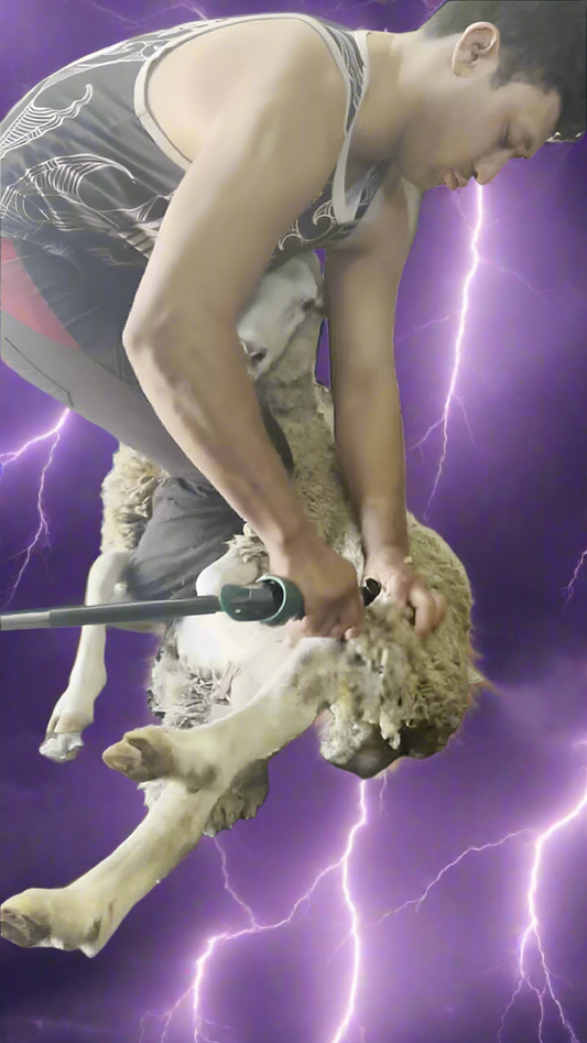 Skumbusters Sheep Shearing Professional Program