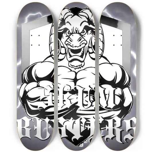 Skateboard Series
